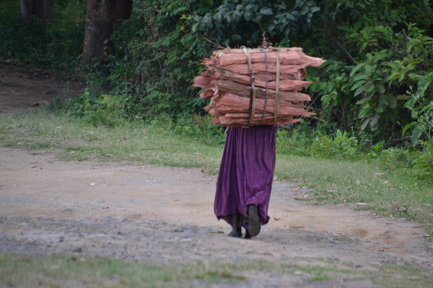 Women walk for up to 4 hours, 3 times a week in search of firewood. Deforestation is making it more difficult to find close to home.